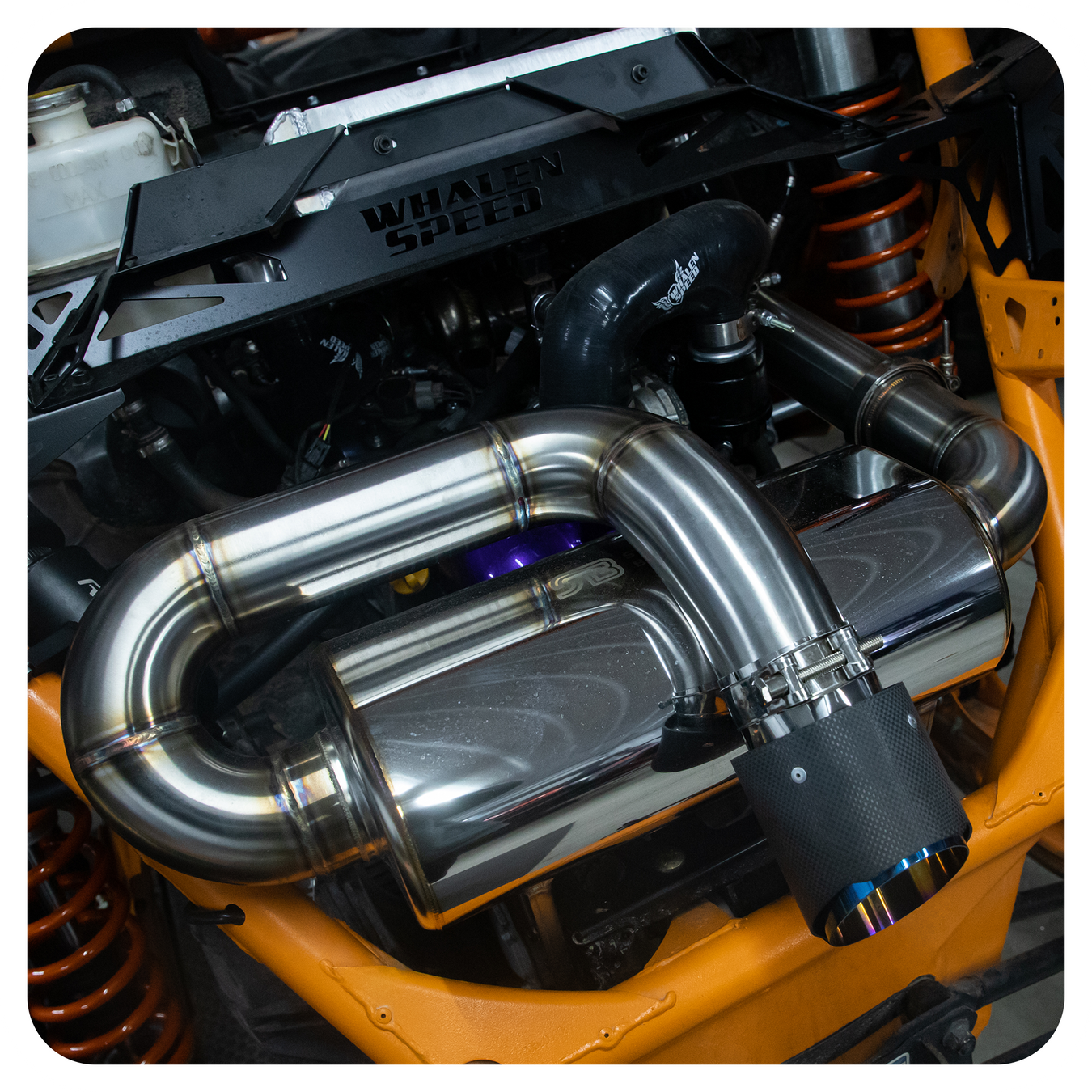 Exhaust System & Accessories