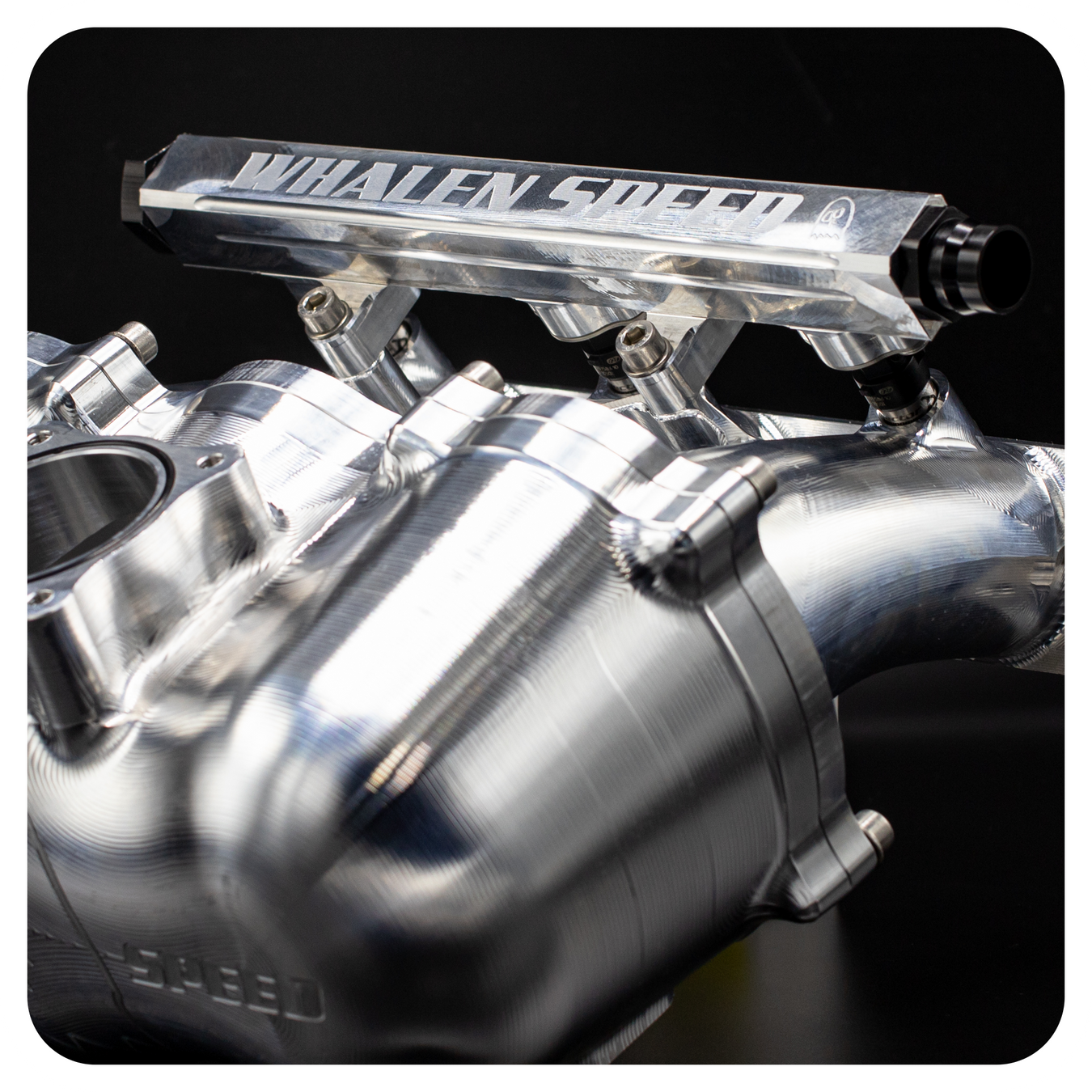 Fuel System & Accessories