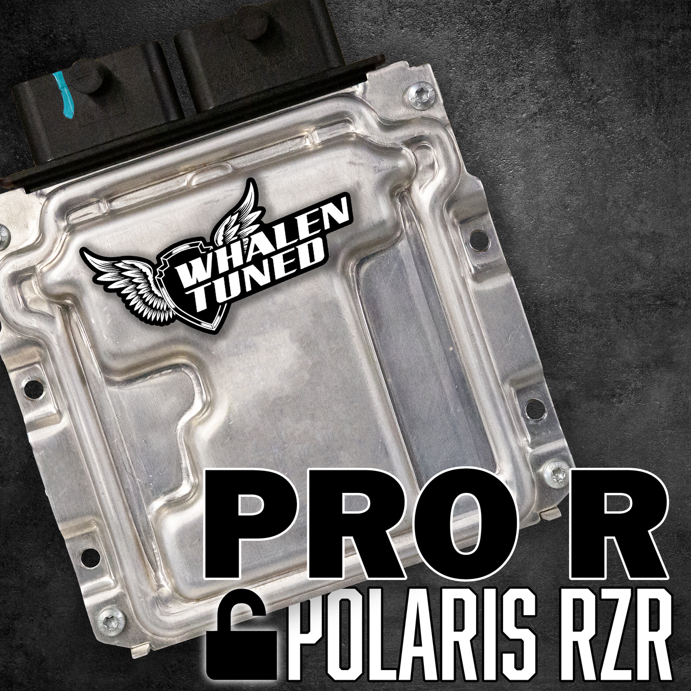 2022-2023 Polaris RZR Pro R